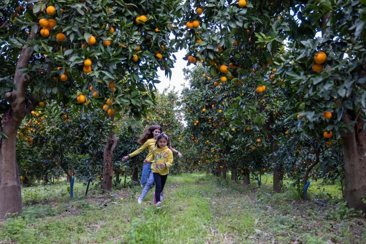 Desa Green Homes Epidaurus Luaran gambar